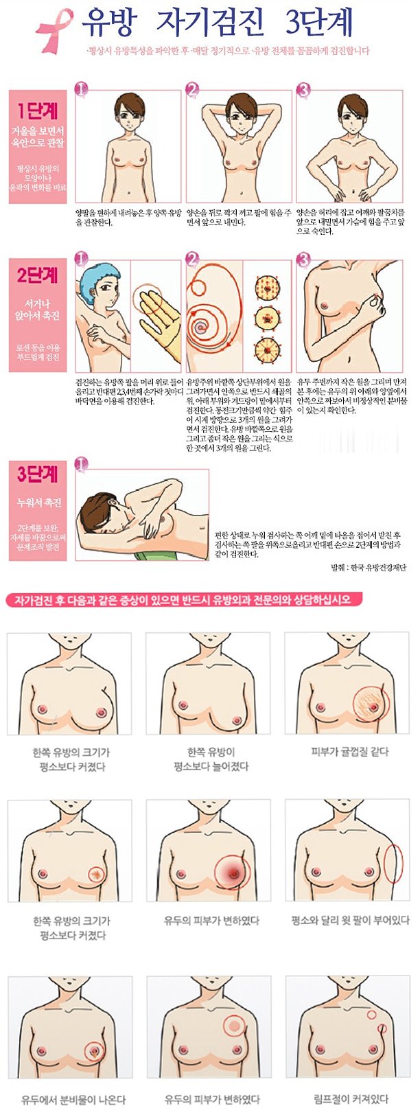 유방 자가검진 방법 — 단계별 순서